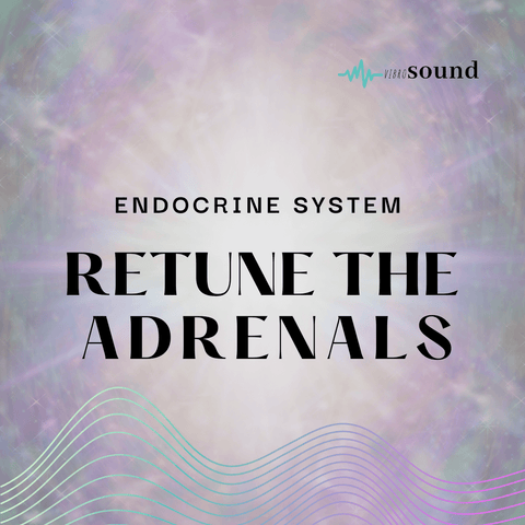 Endocrine System - Retune the Adrenals