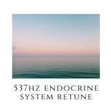 537hz Endocrine System Retune