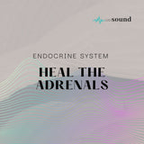 Endocrine Series - Heal The Adrenals