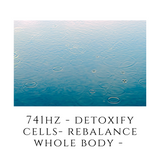 741Hz Detoxify Cells - Rebalance Whole Body